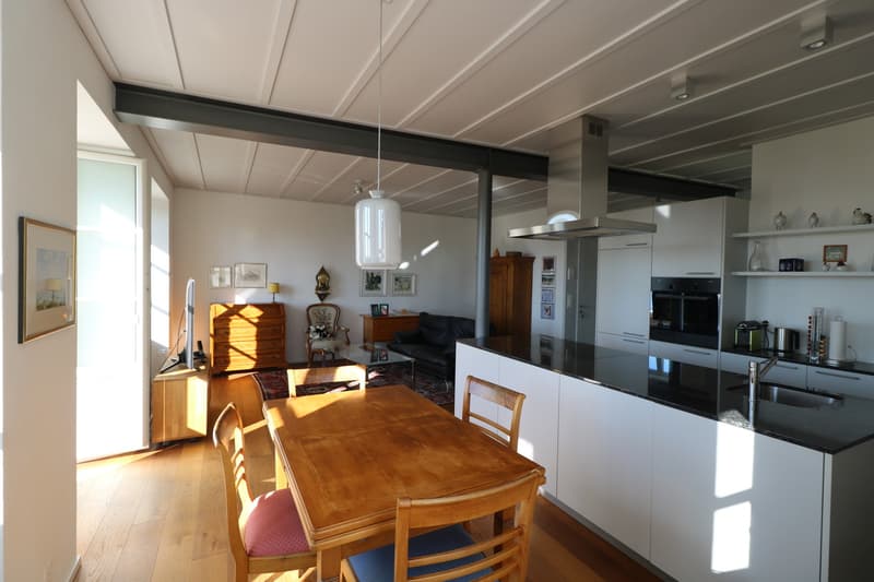 Appartement 2,5 pièces avec vue sur le lac et l'île (4)