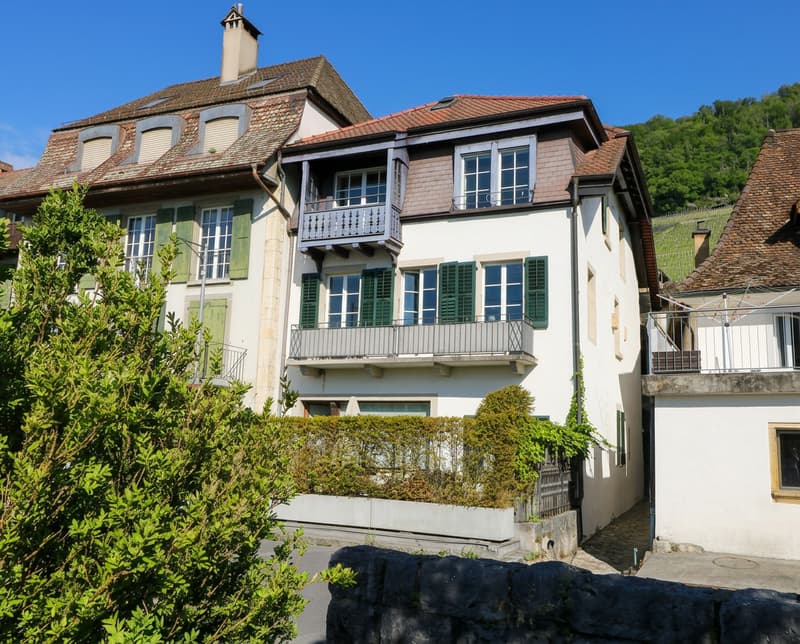 Appartement 2,5 pièces avec vue sur le lac et l'île (2)