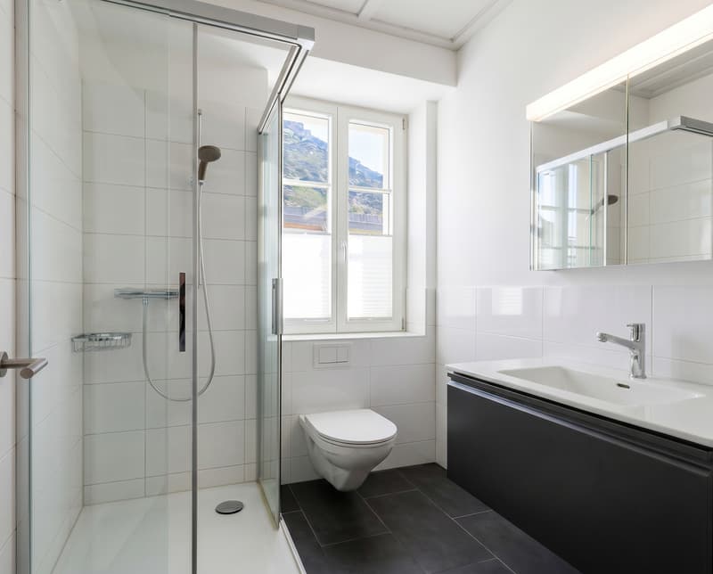 Appartement 2,5 pièces avec vue sur le lac et l'île (5)