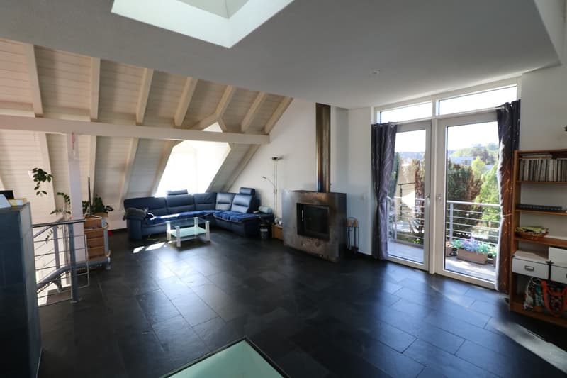 5 1/2 Zi. Duplex mit toller Dachterrasse (4)