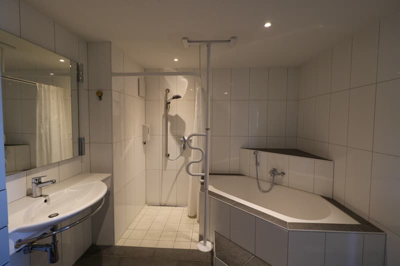 5 1/2 Zi. Duplex mit toller Dachterrasse (8)