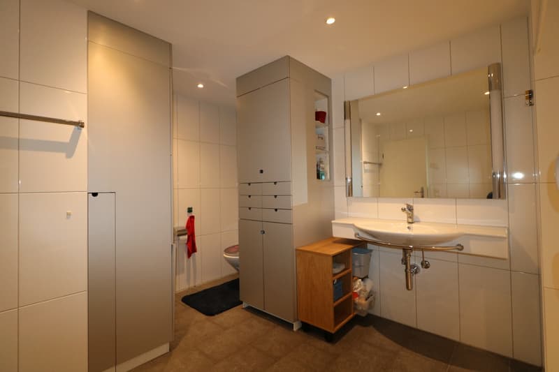 5 1/2 Zi. Duplex mit toller Dachterrasse (9)