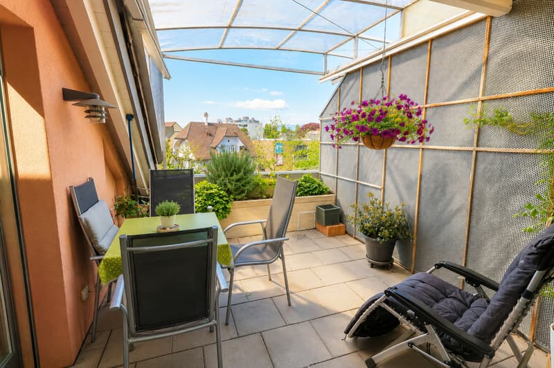 5 1/2 Zi. Duplex mit toller Dachterrasse (9)