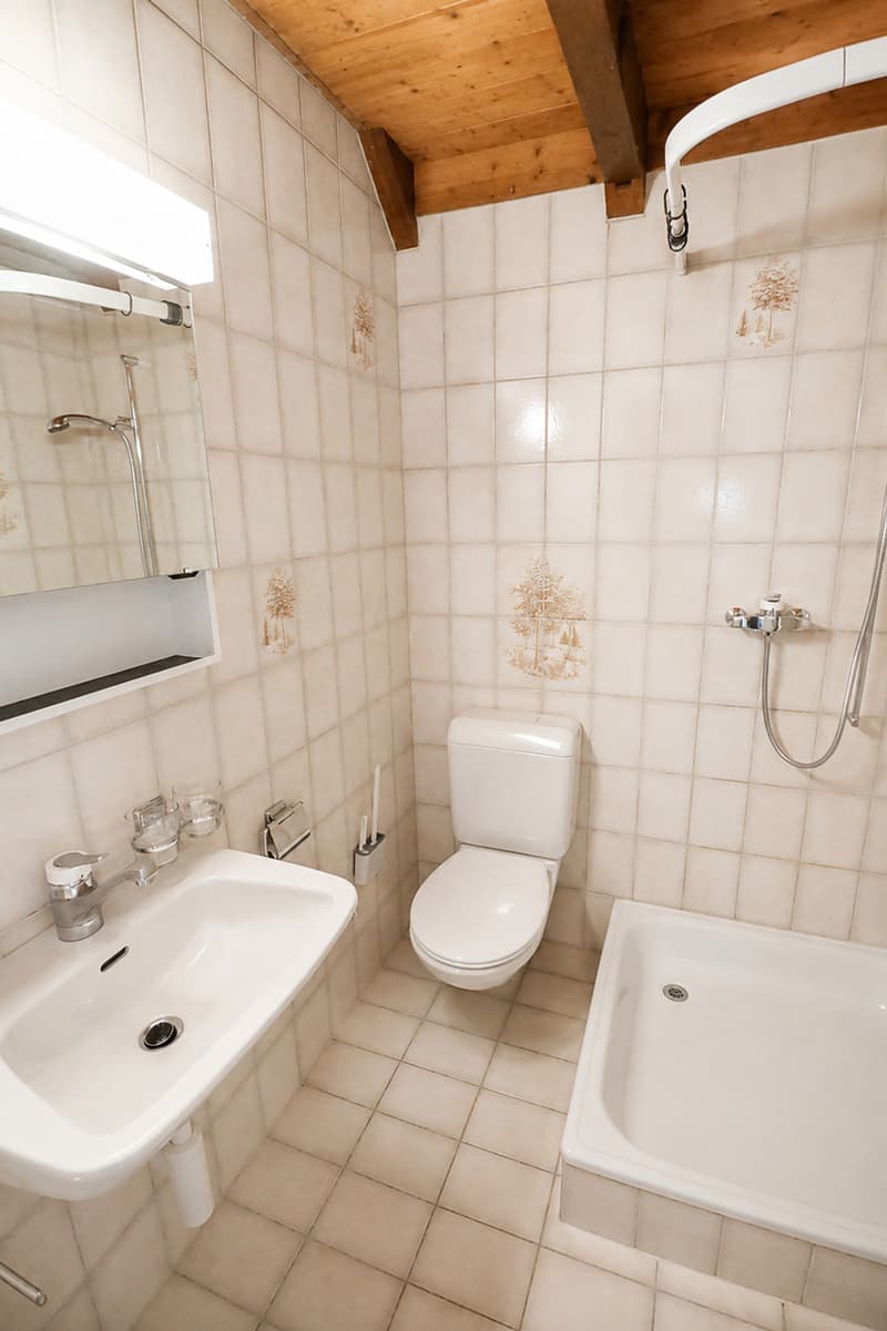 6,5 Zi. Duplex Wohnung mit viel Raum (9)
