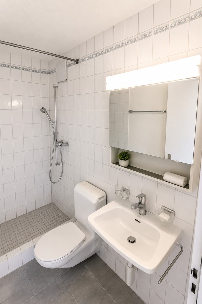 5,5 Zi. Duplex Wohnung im Dorfzentrum (7)