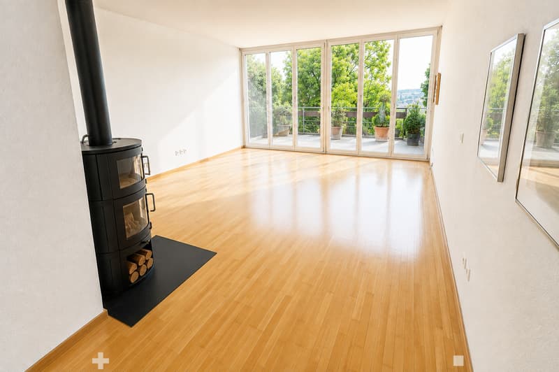 4.5 Zi. Reihenhaus mit Traumhafter Aussicht (6)