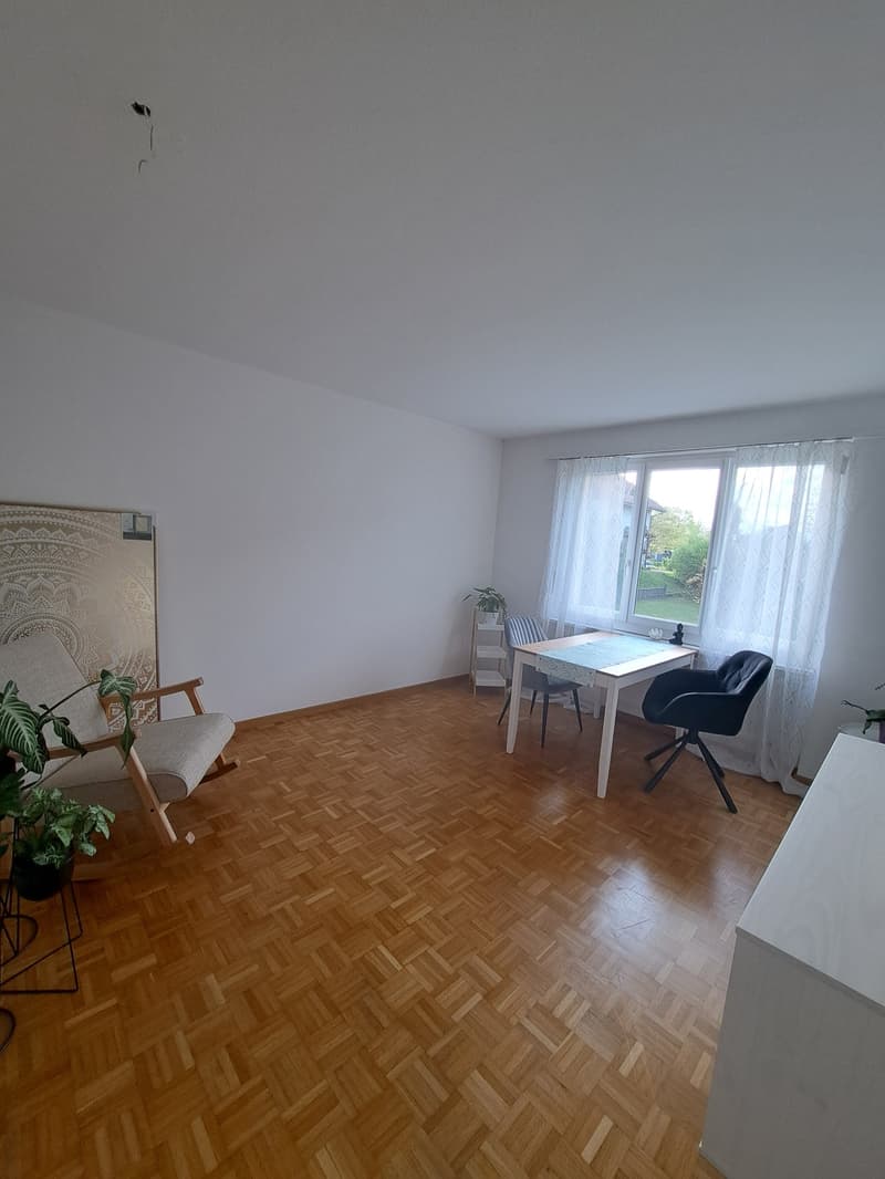 Appartement de 2 pièces confortable (2)