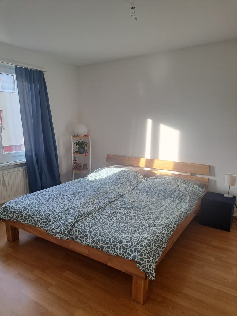 Appartement de 2 pièces confortable (5)