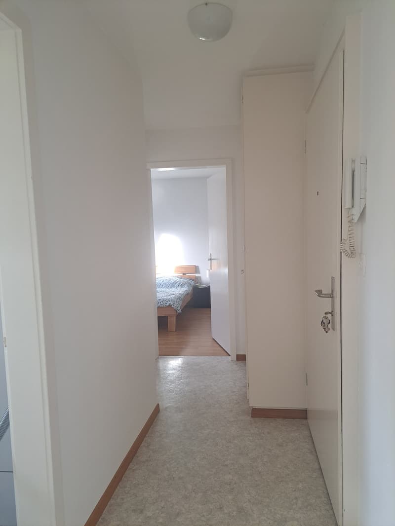 Appartement de 2 pièces confortable (4)