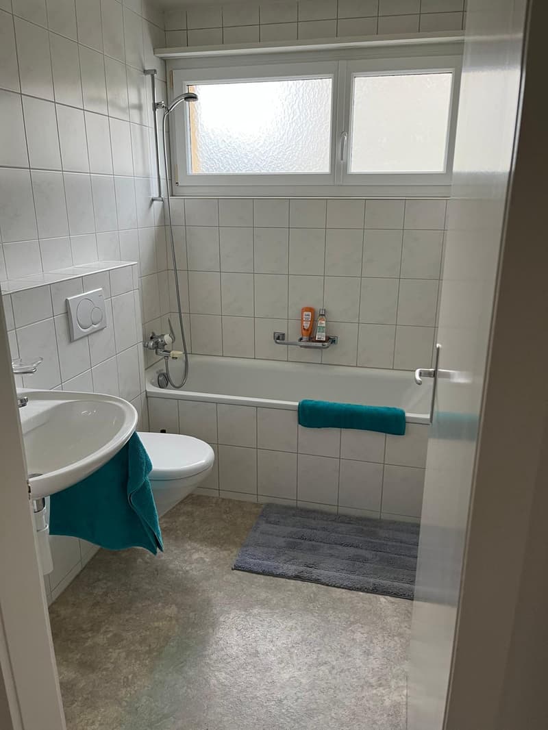 Appartement de 2 pièces confortable (6)