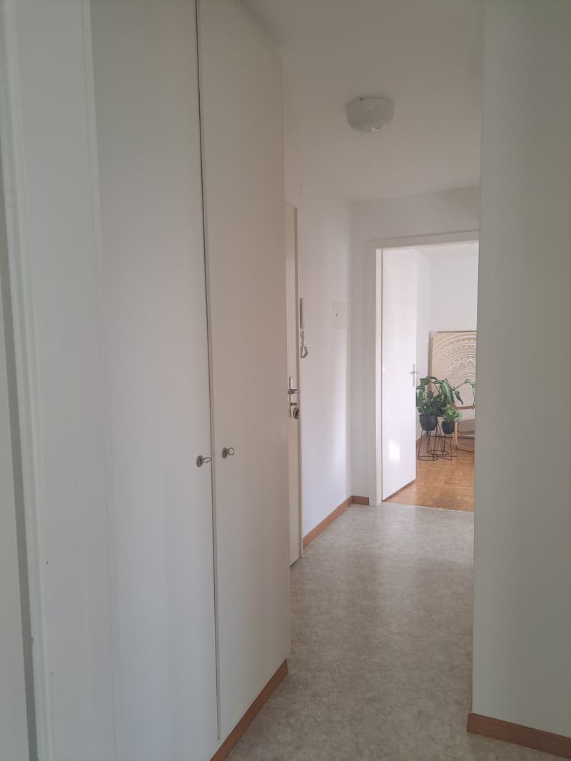 Appartement de 2 pièces confortable (3)
