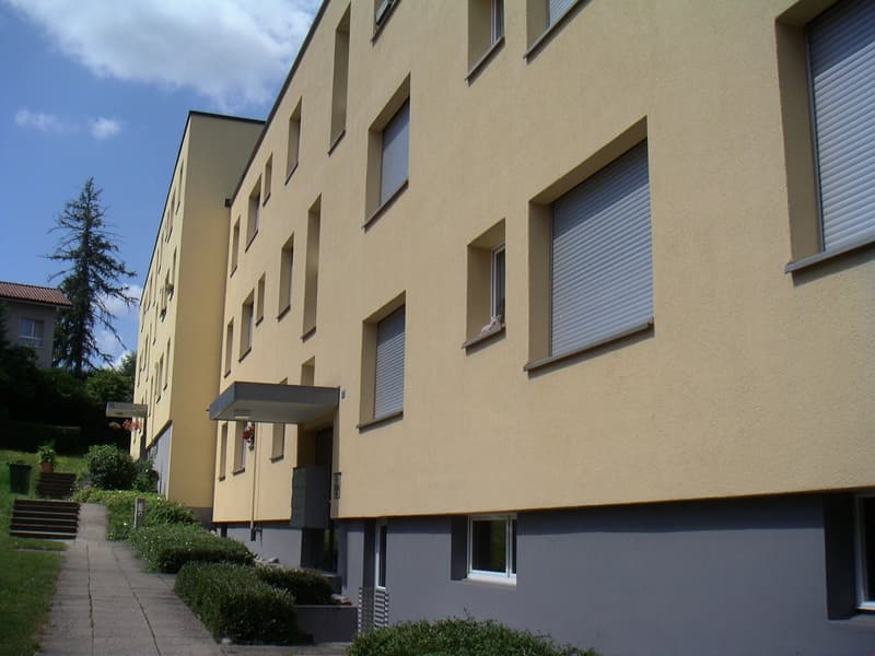 Appartement de 2 pièces confortable (8)
