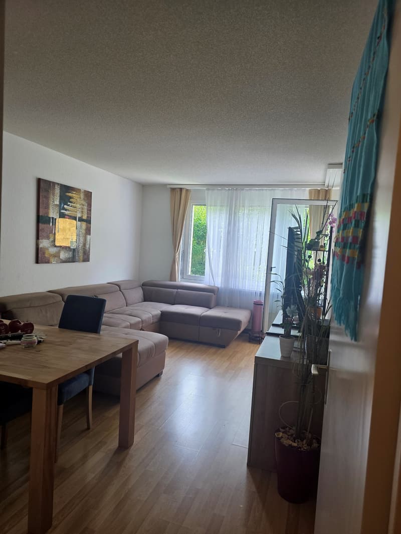 schöne Wohnung mit Gartensitzplatz (2)