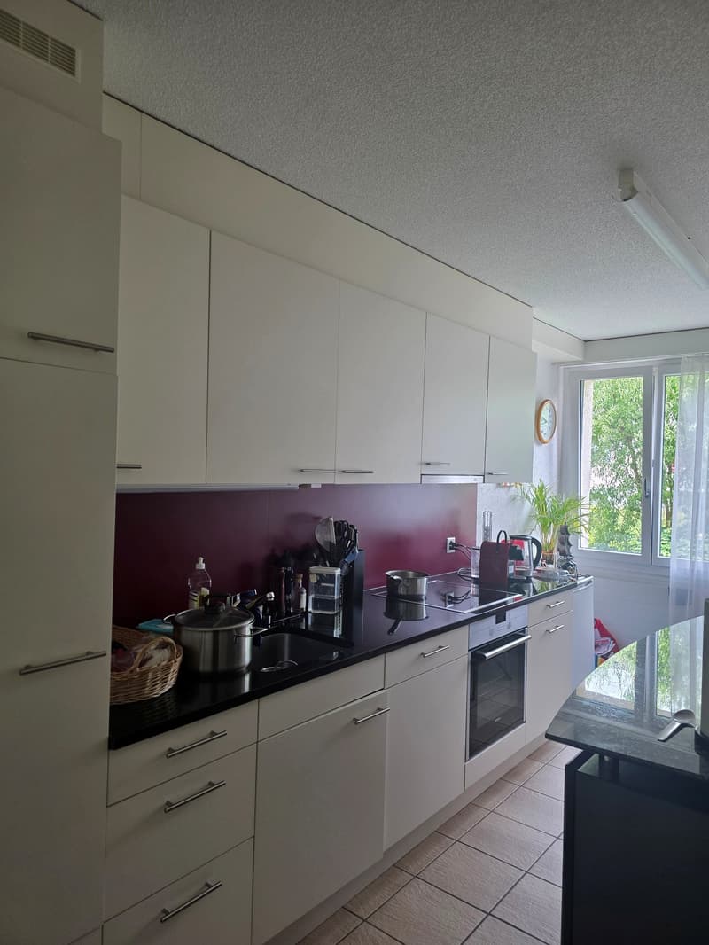schöne Wohnung mit Gartensitzplatz (3)
