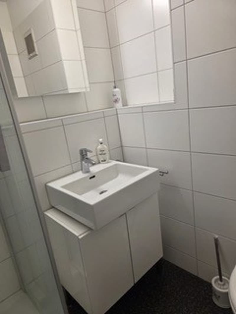 Beautiful 1.5-room apartment with balcony (2)