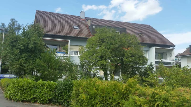 Bello appartamento 1.5 locali con balcone (6)