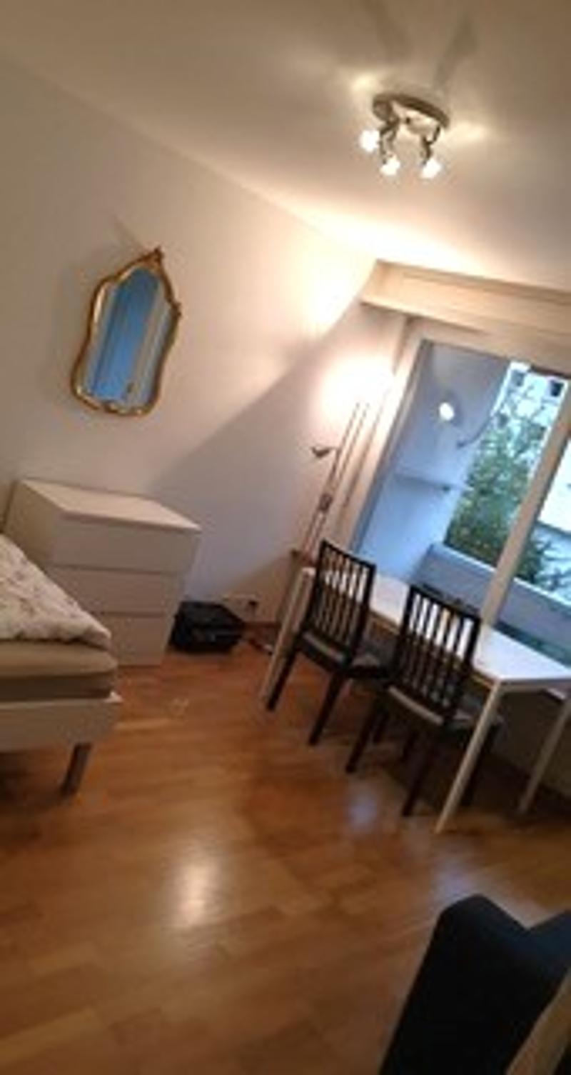 Bello appartamento 1.5 locali con balcone (5)