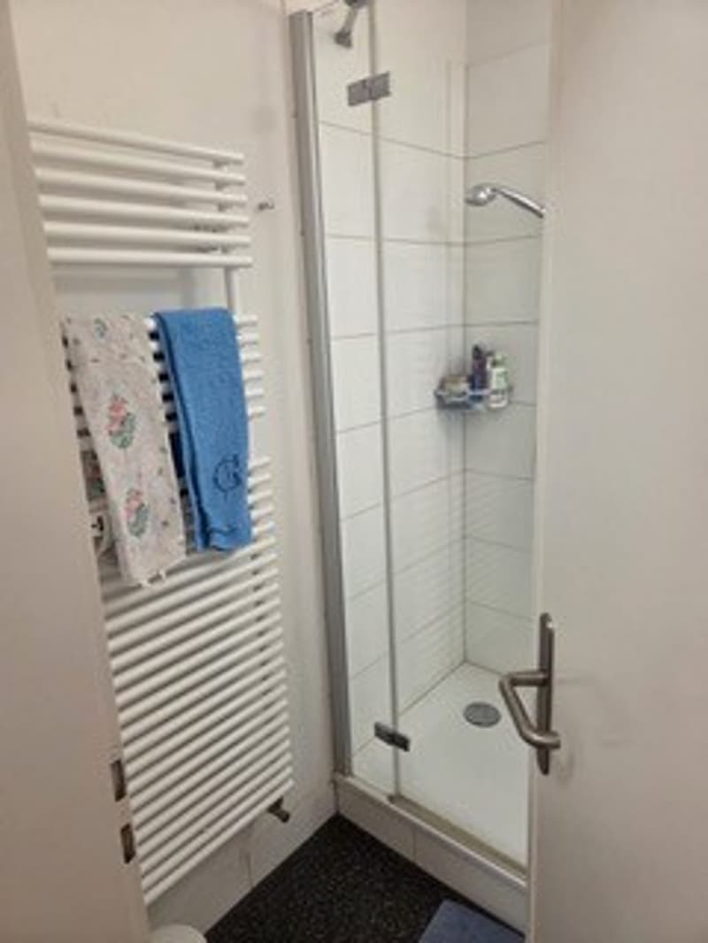 Bello appartamento 1.5 locali con balcone (4)