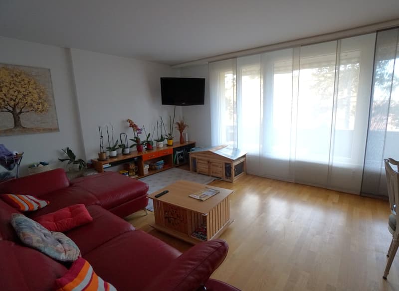 Appartamento giardino 4,5 locali (4)