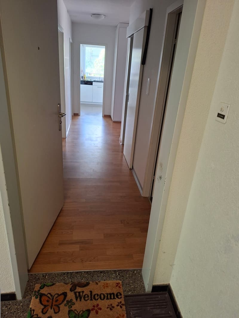 Appartamento giardino 4,5 locali (10)