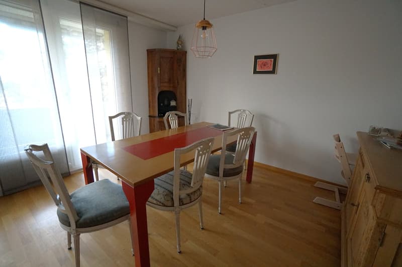Appartamento giardino 4,5 locali (6)