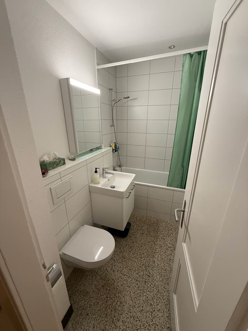 Wunderschöne, helle Altbauwohnung (5)