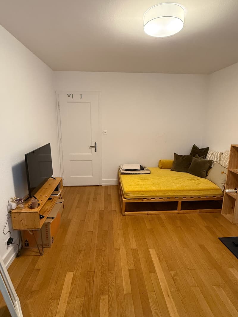 Wunderschöne, helle Altbauwohnung (7)