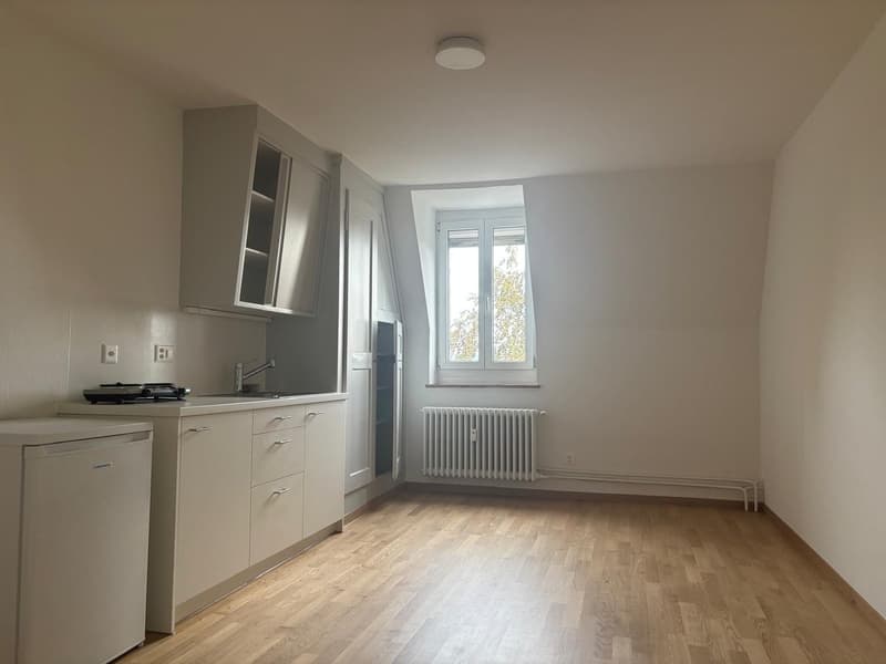Charmante, neu renovierte 1-Zimmerwohnung im Breitenrain (1)
