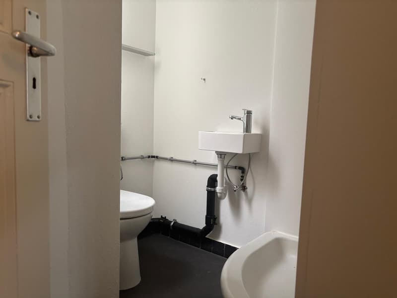 Charmante, neu renovierte 1-Zimmerwohnung im Breitenrain (3)