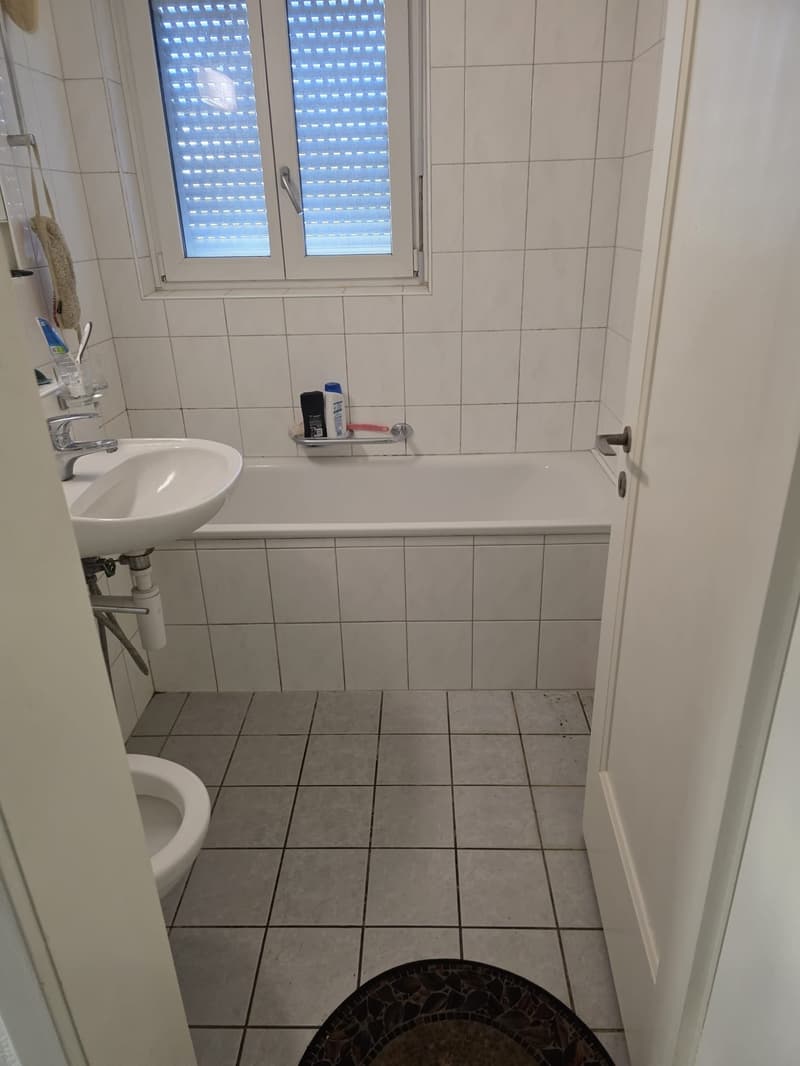 1,5 Zimmerwohnung an toller Lage (6)
