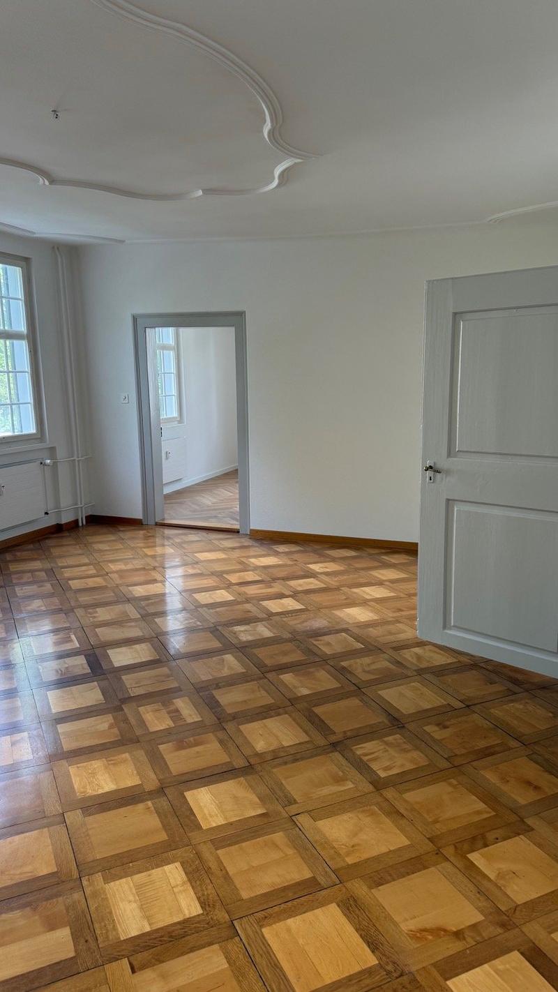 Historic 4-room apartment with balcony in a Baroque house (3)