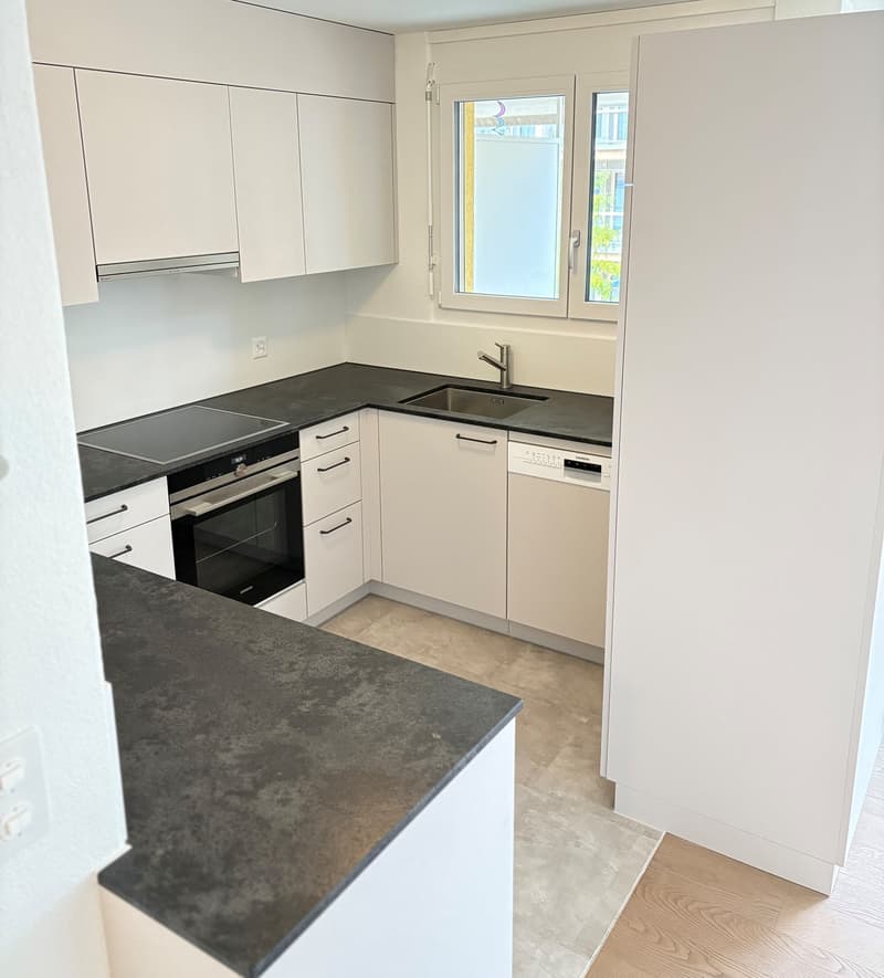 Centrally located apartment & additional garage for rent (3)