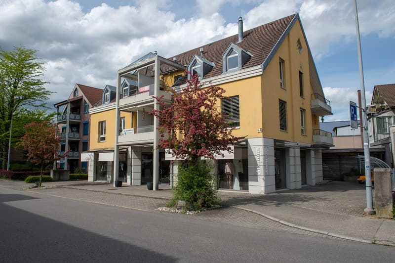 Centrally located apartment & additional garage for rent (9)