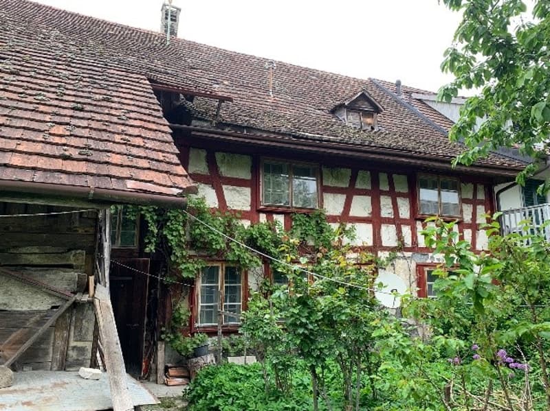 Farmhouse with great development potential in the Zürcher Weinland (1)