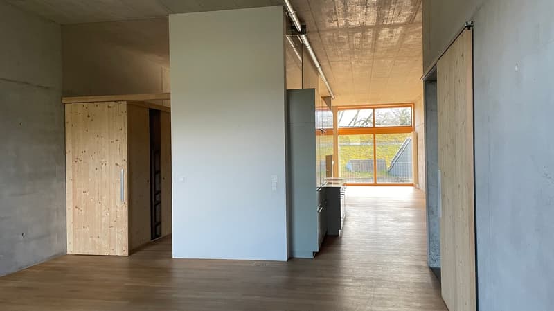 Loft Apartment mit grossem Balkon / Nr. 0.4 (2)