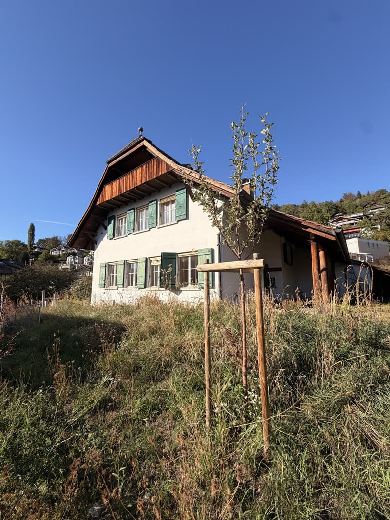 Einfamilienhaus zur Miete in ruhigem Hünibach (19)