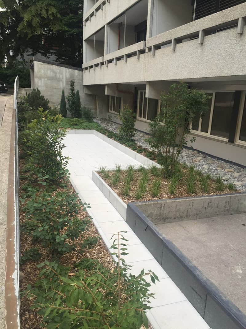 sidewalk, plants, bushes, grass, building