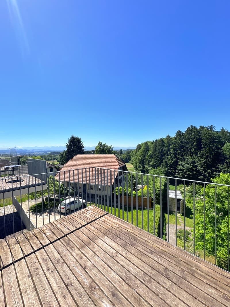 Loft-tour unique (190m2), ancienne scierie près de Berne (10)