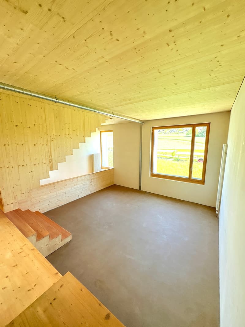 Loft-tour unique (190m2), ancienne scierie près de Berne (12)