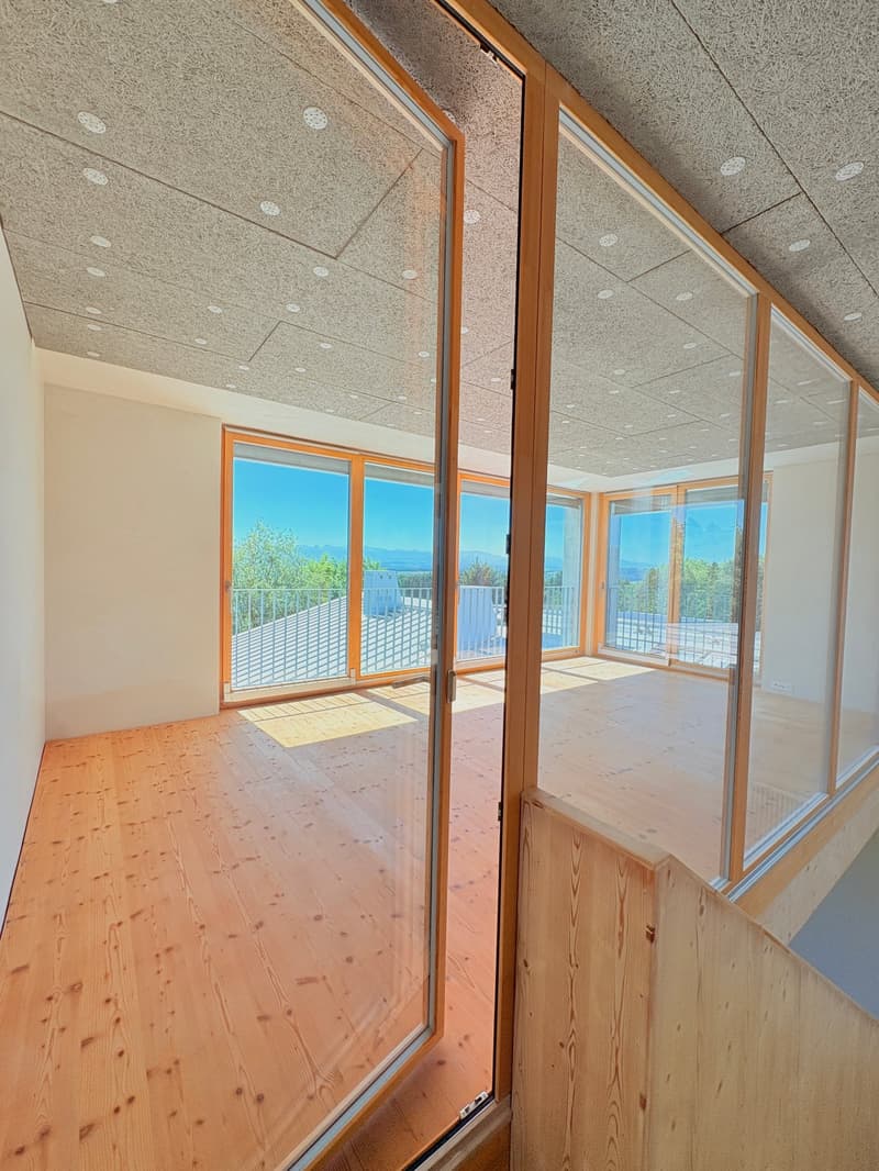 Loft-tour unique (190m2), ancienne scierie près de Berne (2)