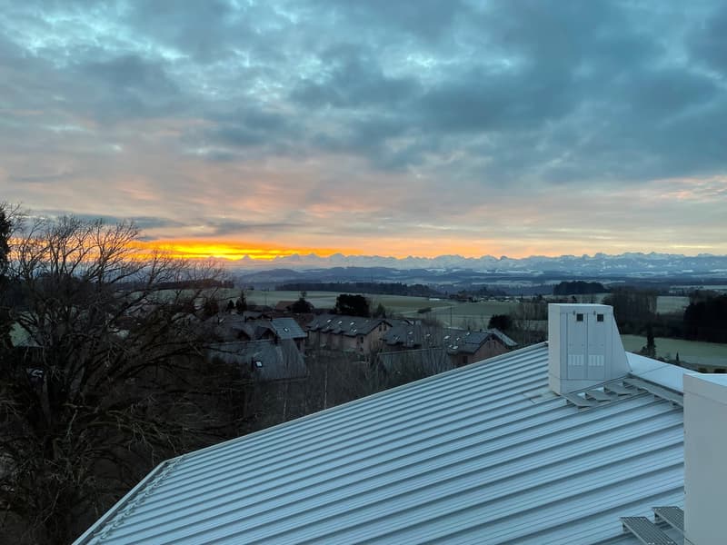 Loft-tour unique (190m2), ancienne scierie près de Berne (16)