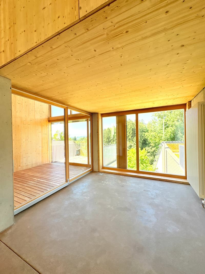 Loft-tour unique (190m2), ancienne scierie près de Berne (7)
