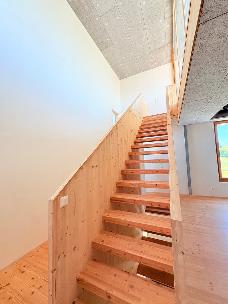 Loft-tour unique (190m2), ancienne scierie près de Berne (3)