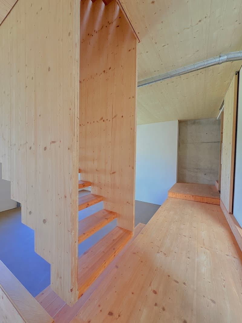 Loft-tour unique (190m2), ancienne scierie près de Berne (14)