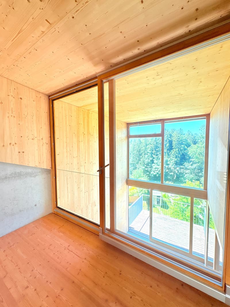 Loft-tour unique (190m2), ancienne scierie près de Berne (13)