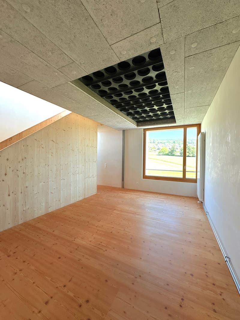 Loft-tour unique (190m2), ancienne scierie près de Berne (5)