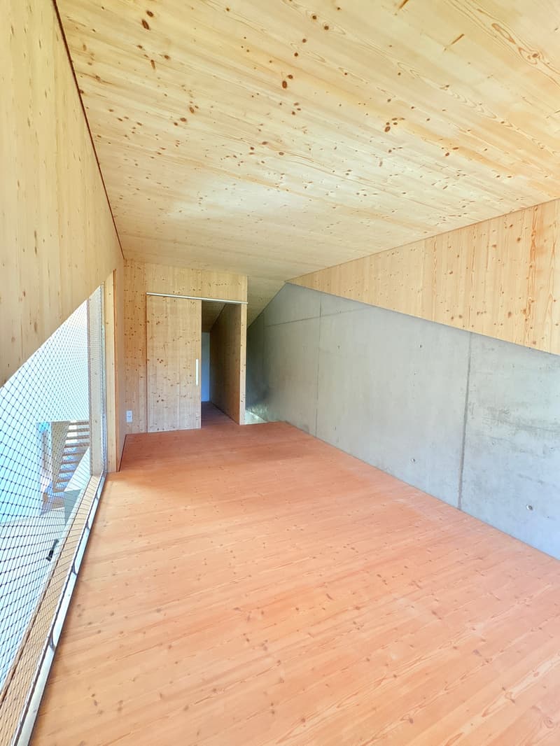 Loft-tour unique (190m2), ancienne scierie près de Berne (15)