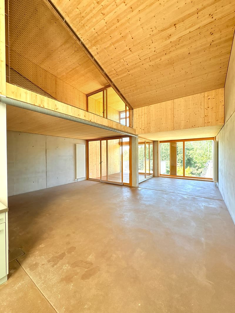 Loft-tour unique (190m2), ancienne scierie près de Berne (6)