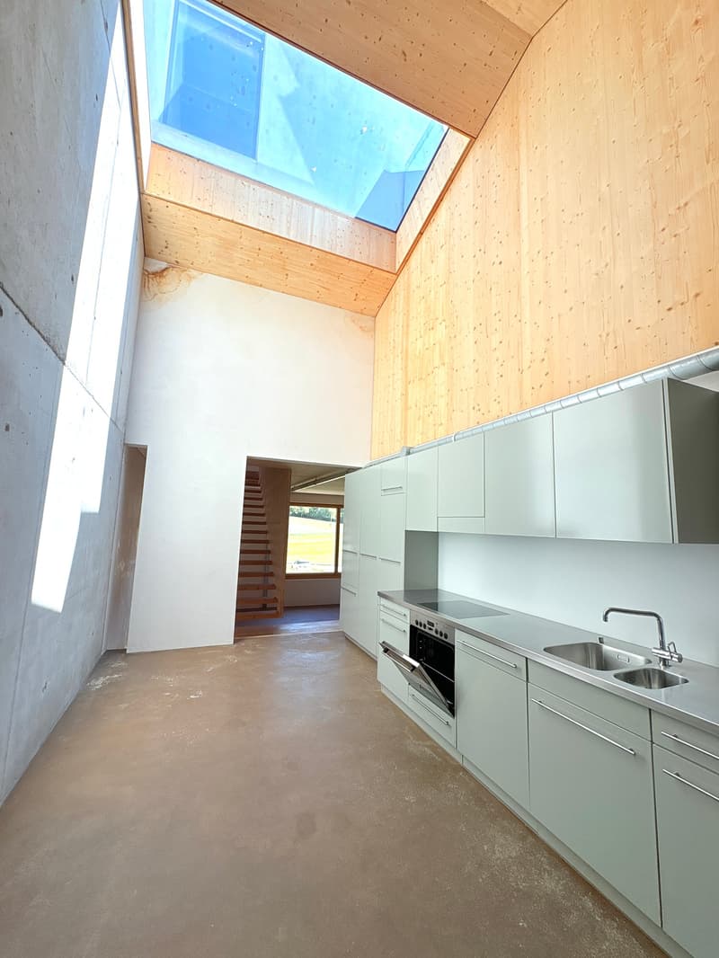 Loft-tour unique (190m2), ancienne scierie près de Berne (8)