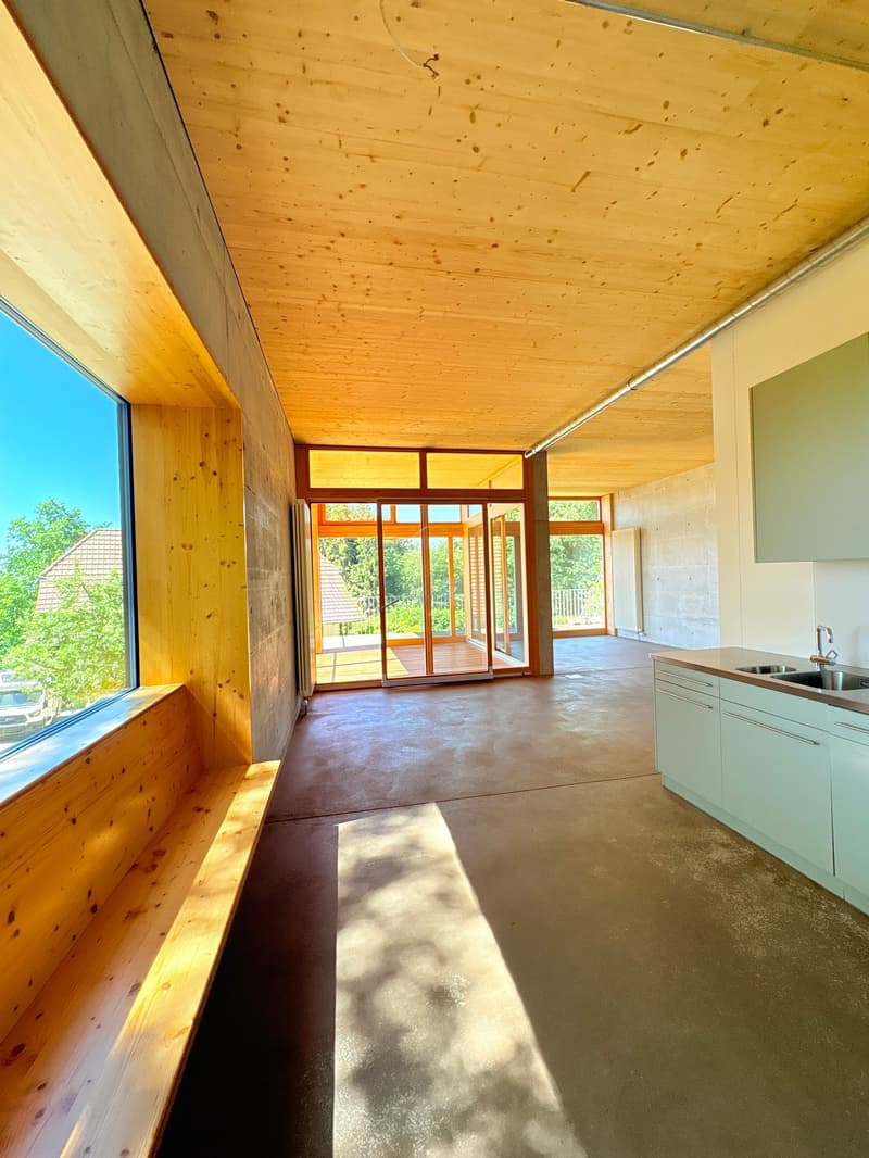 Echtes, originelles Eckloft (126m2) an erhöhter Lage nahe Bern (1)